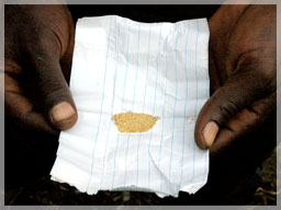 Local worker&rsquo;s gold extracted for the day / Ben Ben